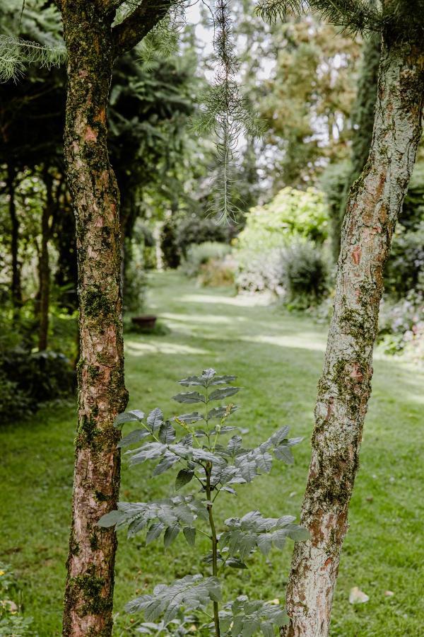 B&B Kasteel Baexem Εξωτερικό φωτογραφία